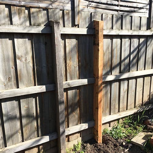 Paling Fencing Burwood