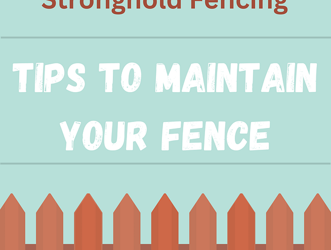 Fencing Expert Stronghold Fencing